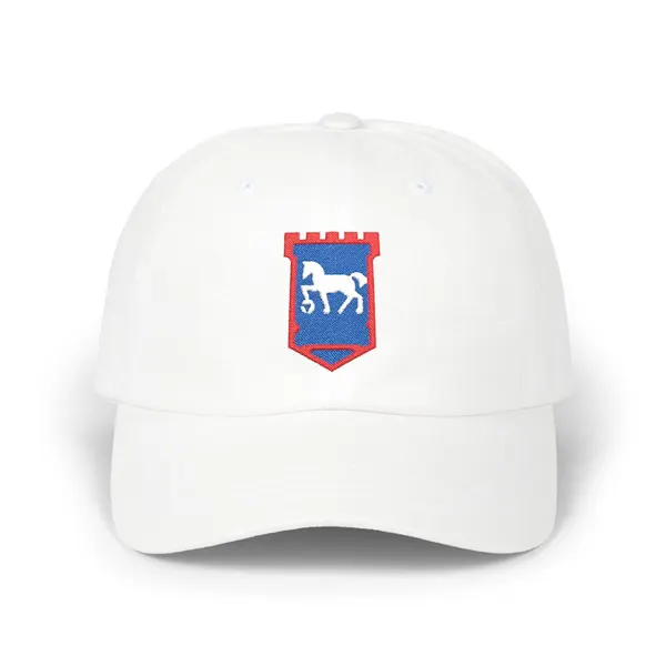 Abstract geometric shapes in royal blue, white, and red arranged in a flat design.